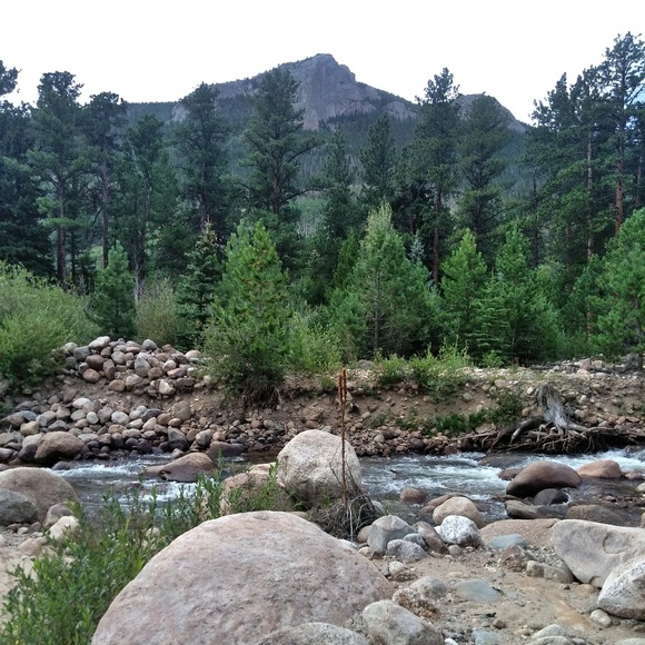 Meet your Posher, The - Picture 3 of 3